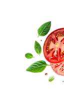 Tomato Element