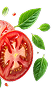 Tomato Element