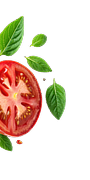 Tomato Element
